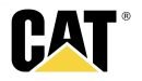 cat1868